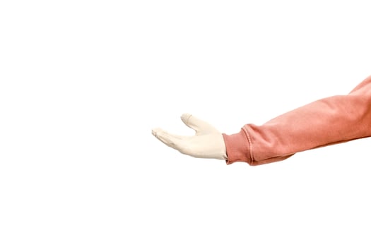 Isolated arm and hand offering gesture, with blank copy space and clean white background perfect for product placement photo