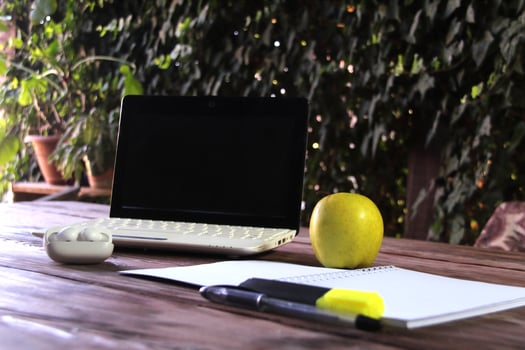 The concept of freelancing, studying from home. photo