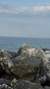 A fishing rod propped up among rocks with the sea in the background, perfect for outdoor sport, patience, and solitude visuals. photo