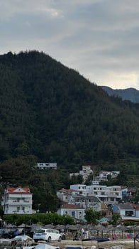 Detailed view of white and red-roofed buildings nestled at the foot of a wooded mountain in Thassos, Greece. photo