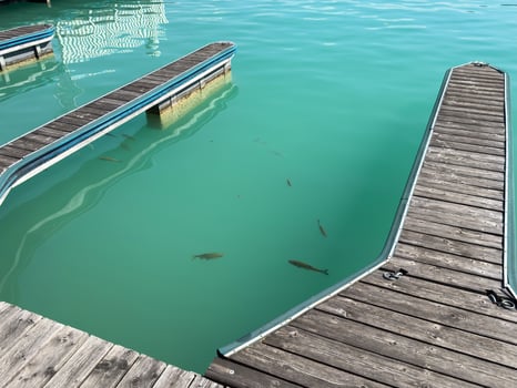 Calm turquoise water at a wooden pier with fish swimming leisurely below photo
