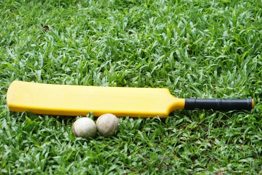 Yellow cricket bat and two balls on lush green field. Concept, sport equipment,symbolizing the energy and excitement of outdoor sports. Perfect for promoting cricket training youth sports, or fitness photo