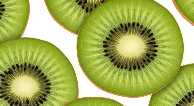 Sliced kiwi flat on white, vibrant flesh, crisp juicy texture. photo