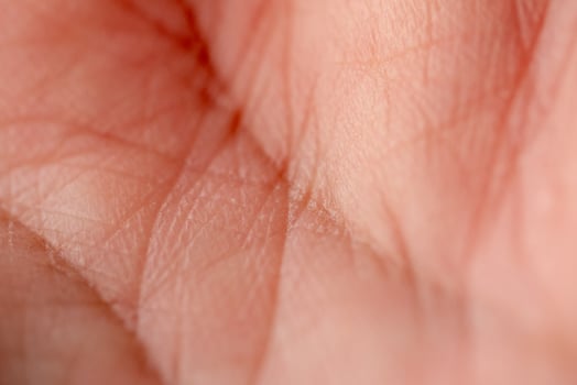Close-up view of human palm texture indoor setting macro natural elements detailed perspective photo