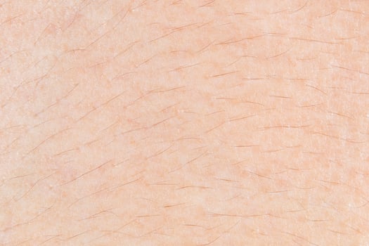 Skin texture with hair for pattern photo