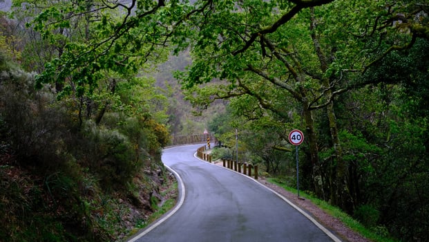 A winding mountain road through a lush green forest, with a speed limit sign visible on the right. photo