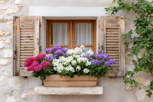 Vibrant Flowers Adorning Rustic Window Sill photo