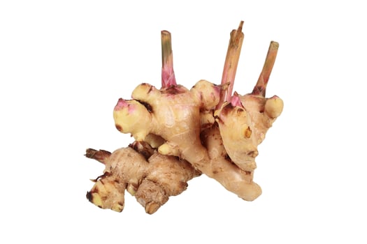 fresh ginger root isolated on white photo
