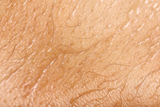 wet skin with hair for pattern photo
