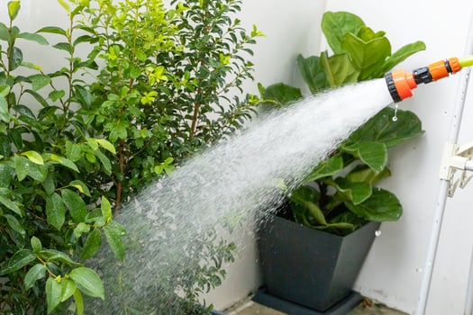View of Watering plants or watering from a hose, focus selective photo