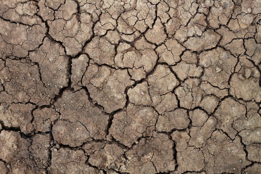Dry soil for pattern and background photo