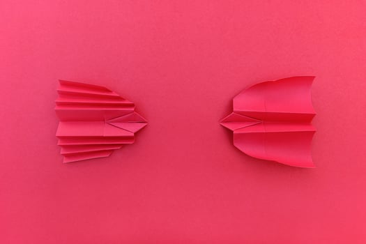 folding red paper bat and bird with fighting concept photo