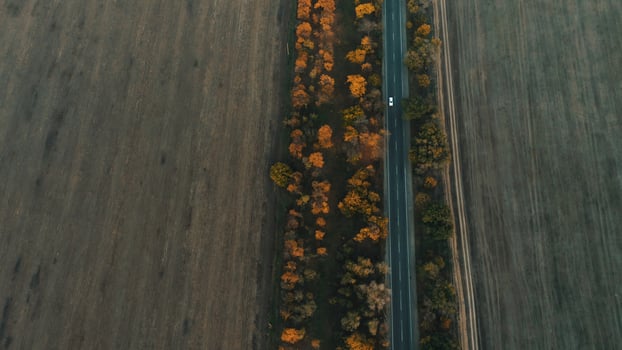 Aerial view of a lone car driving on a rural highway surrounded by fields at autumn sunset. photo