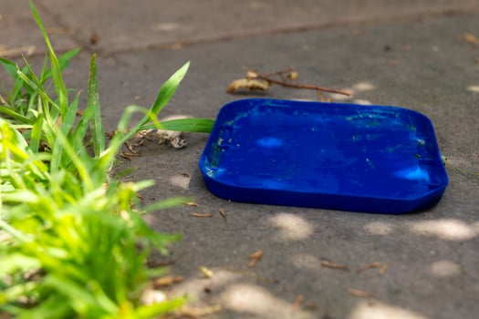 Bright blue tray rests on sunlit concrete surrounded by lush green grass on a warm summer afternoon photo