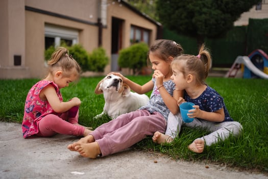 Playful children enjoy a sunny afternoon with their dog in the garden photo