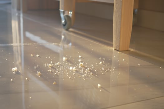 Crumbs scattered on shiny floor near wooden furniture photo