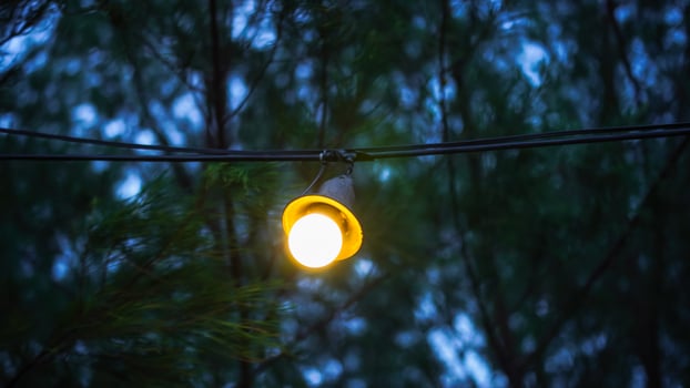 Vintage Outdoor Light Bulb Hanging on Wire Against Forest Background at Dusk. photo
