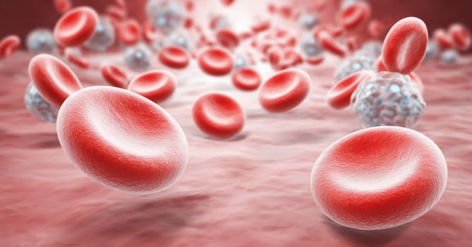 Red blood cells circulate through the bloodstream, carrying oxygen and nutrients. This depiction emphasizes the connection between youth, gold, and the rejuvenating properties of blood. photo