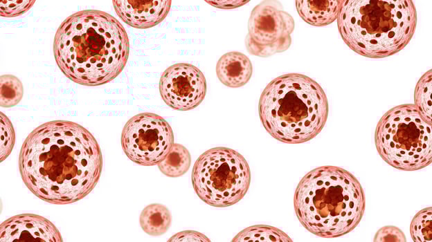 This depiction showcases a cluster of vibrant blood cells. The contrast against a white background emphasizes the intricate structure and potential connections to rejuvenation and vitality in youth. photo
