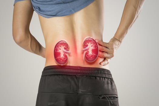 Kidney pain may signal chronic or acute renal failure. Seek diagnosis. photo