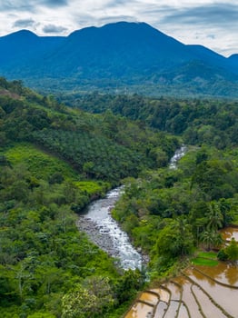 A river running through a rice field photo