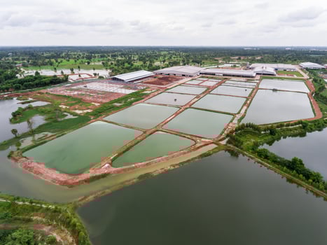 The aerial view of many ponds and paths near the manufactory shot by drone.a photo