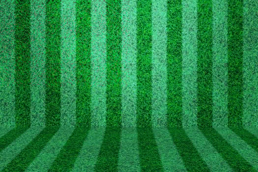 green turf wall and floor with line for design photo