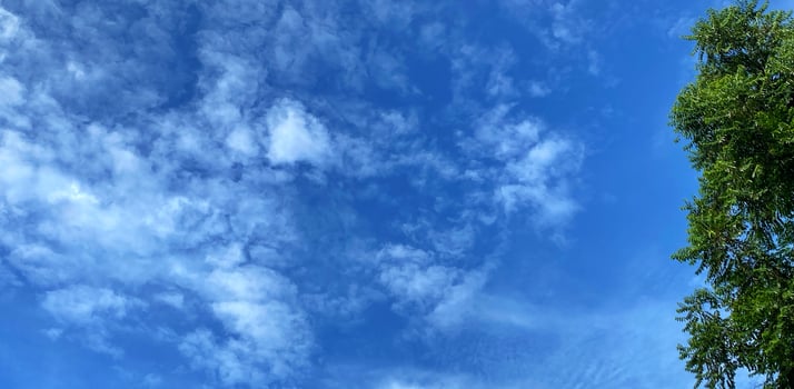 Blue sky adorned with soft clouds and a vibrant tree on a sunny day. photo