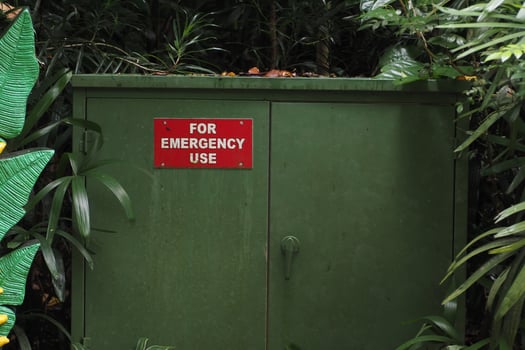 Green emergency cabinet situated in lush tropical vegetation photo