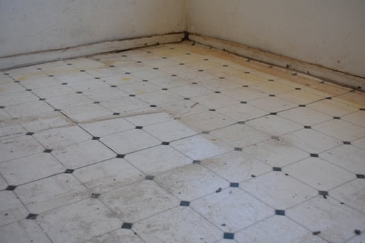 Old Dirty White and Green Linoleum Tile Pattern Floor in Remodel House photo