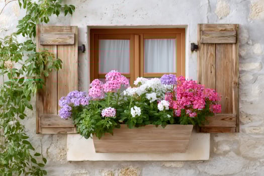 Vibrant Flower Box Displaying Colorful Blooms photo