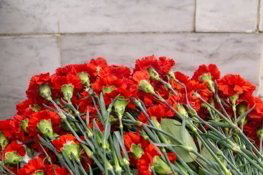 Bunch of red carnation flowers near of a stone wall photo