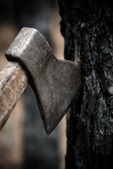 Close-Up Of Old Rustic Axe Embedded In Charred Tree Trunk. photo