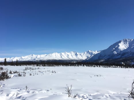 travel winter, nature, landscape, snow, frost, tourism, active recreation photo
