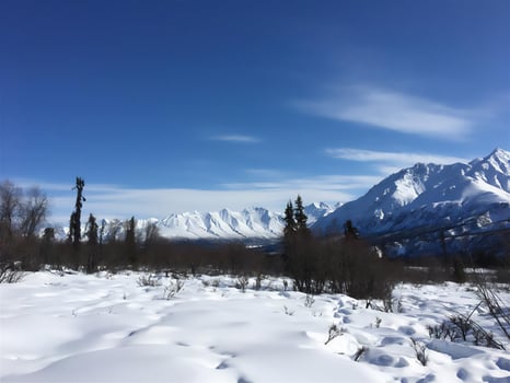 travel, winter, nature, landscape, snow frost, tourism active recreation photo