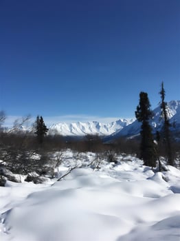 travel, winter, nature, landscape, snow, frost, tourism active recreation photo