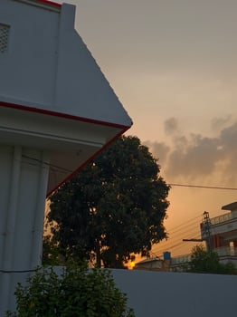 Sunset view from house backyard with tree and orange sky background for nature photography lovers photo
