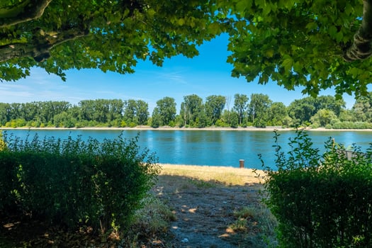 Serenity unfolds along a tranquil riverbank framed by lush green leaves under a clear blue sky photo