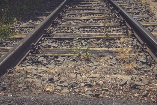 Rusty railway tracks weave through nature's reclamation in a tranquil rural setting photo
