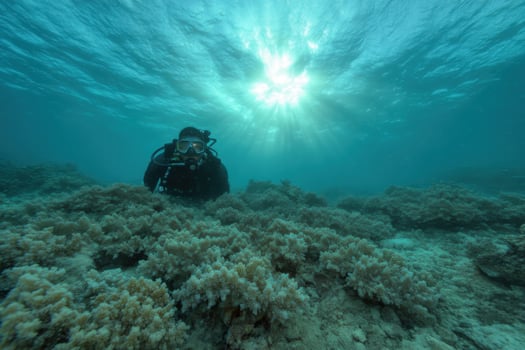 An Underwater Scuba Diver Explores a Vibrant Coral Reef, Sunlight Piercing Through the Ocean Surface, Creating a Mesmerizing Seasc photo