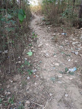 A naturally formed walking path photo
