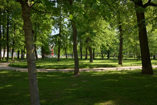 The Peaceful Green Park, with lush trees and winding paths, invites visitors to unwind photo