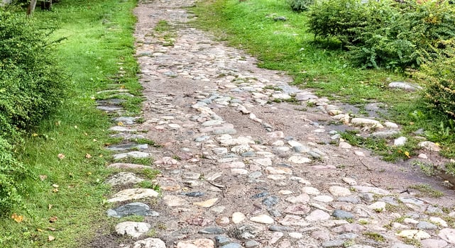 An old country winding road, paved with cobblestones, passes in the midst of thickets of bushes and grasses photo