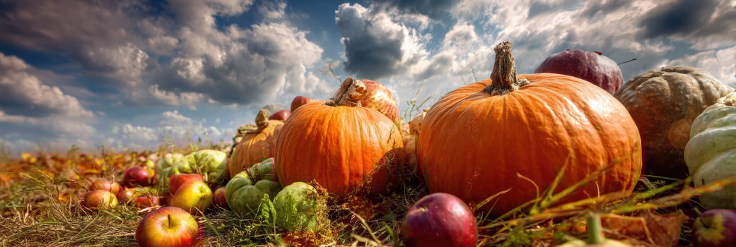 Vibrant Autumn Harvest Display Featuring Pumpkins and Apples Under a Cloudy Sky photo