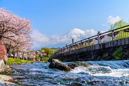 Fuji mountain with steam and cherry blossom sakura tree in Shizuoka Japan, Fuji san is the most famous vocano mountain in Japan. photo