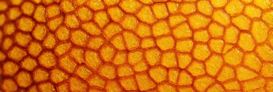 Close-up View of Orange Peel Texture Showcasing Intricate Patterns and Vibrant Colors in Macro photo