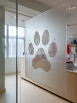 Dog Paw Print on Glass Wall in Veterinary Clinic Showcasing Interior Environment and Minimalistic Design photo