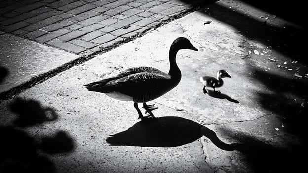 A Goose and Gosling Wander on a Cracked Pavement Path photo