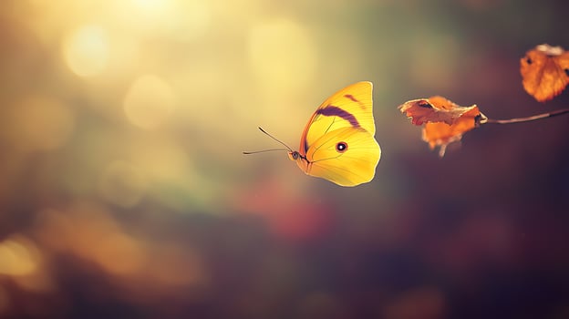 Golden Butterfly Amidst Autumn Leaves with Sun Flare. photo