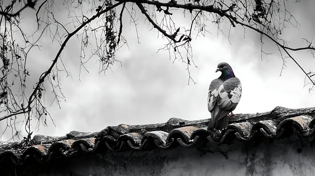 Lone Pigeon on a Dusty Rooftop Under Bare Branches. photo